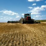 Winter cereal acres down but looking good