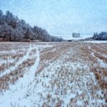 Most of Manitoba has decent soil moisture, but there’s still plenty of concern in other parts of Western Canada.