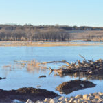Manitoba is getting new legislation aimed at protecting watersheds in the province.