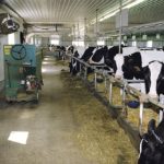Training program will aim to train people to work on southeastern Manitoba dairy farms.