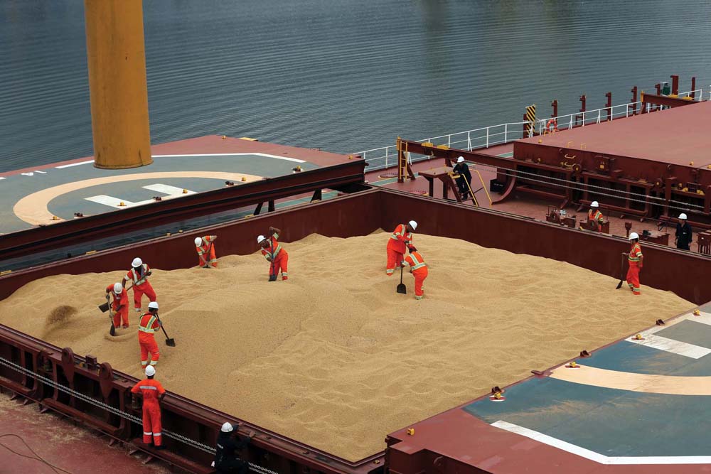 Employees even out a load of soybeans on a Chinese cargo ship at the Brazilian port of Santos. U.S. farmers say new soybean standards imposed by China will put them at a disadvantage.