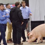 Equipment dealers pitch to potential new customers during the 2017 Hog Days in Brandon Dec. 14.