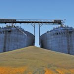 A mountain of “second” corn (winter corn) stored outside of already-full storage bins in Mato Grosso state, Brazil, July 26, 2017.