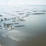 The swollen Red River engulfs farmyards in this aerial file photo. River floods will be a growing risk as the climate warms, scientists say.