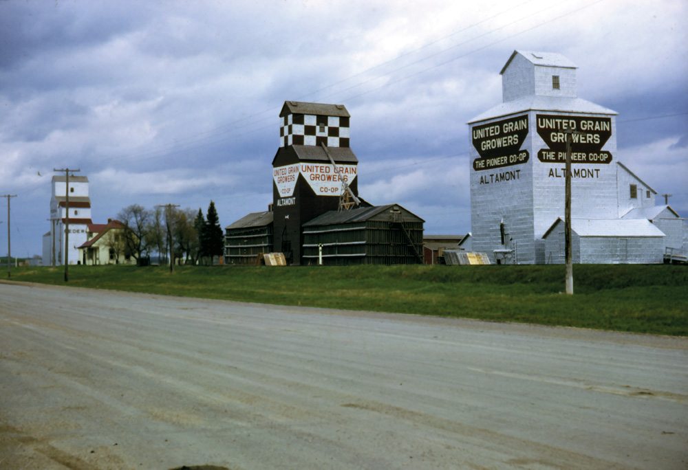 Altamont, in the RM of Lorne, was served by three elevators when this photo was taken in 1962. The right one was the oldest, built in 1905 by Ogilvie Flour Mills and sold to United Grain Growers in 1960. It was sold and torn down in 1967. The UGG elevator beside it dated from 1925, replacing an earlier elevator built in the early 20th century by the Dominion Elevator Company. Closed in 1993, it was demolished the following year. The left-most elevator, near the railway station, was constructed in 1932 by Federal Grain. Sold to Manitoba Pool in 1989, it was demolished sometime between 1995 and 1997. A monument in town commemorates the elevators and the men who operated them through the years.