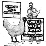 Swift’s Sky-Hi Layers