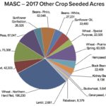 Other crops are seven per cent of the 2017 seeded acres.