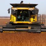 Is a soybean-canola rotation worth rolling the dice?