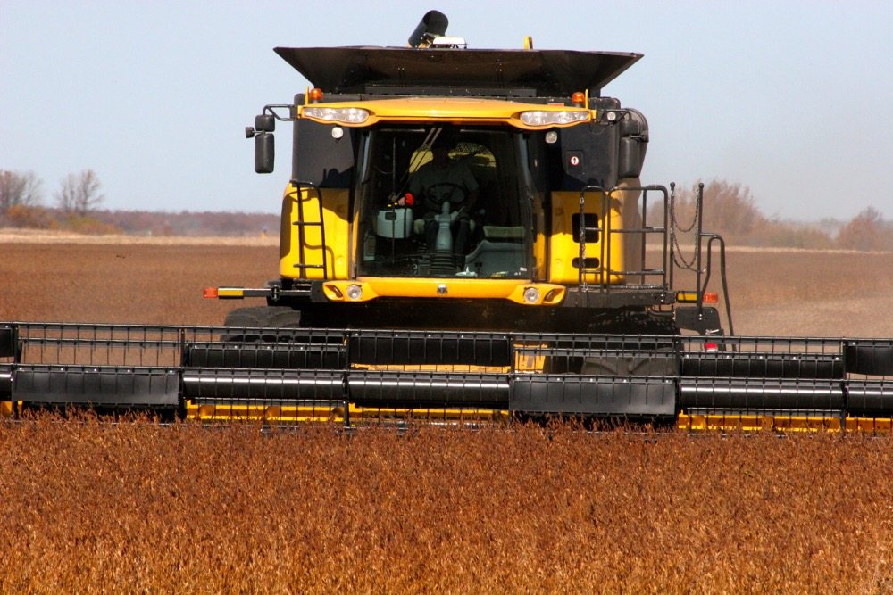 Is a soybean-canola rotation worth rolling the dice?