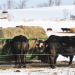 Manitoba Beef Producers still seeking carbon details
