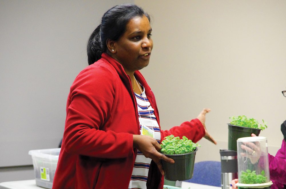 University of Manitoba entomologist Tharshi Nagalingam breaks down the flea beetle threat at CanoLAB March 15, including what she says is a shift to more striped flea beetles in the province.