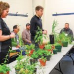 CanoLAB and SoyLAB attendees get a crash course  in weed identification in Dauphin March 15. 