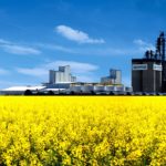 Richardson International's oilseed processing facility at Yorkton, Sask.