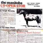 Beef board rebuffed at ballot box