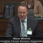 Canadian Canola Growers Association CEO Rick White told the House of Commons agriculture committee March 19 in Ottawa it’s time to double the limit on cash advances to $800,000.