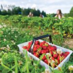 Finding workers for short-season employment in rural areas isn’t easy.