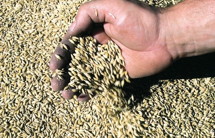 Don’t gamble on grain marketing