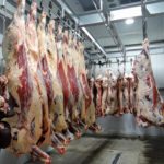 beef carcasses