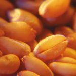 Average (CWRS) prices ranged from about $238 per tonne in southeastern Saskatchewan to as high as $252 in northern Alberta.