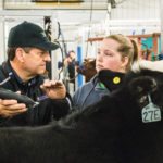 Kirt Stierwalt of Leedey, Okla. gives Larissa Rutten of Redvers, Sask. some tips on clipping at one of two clinics he held for youth at the fair.
