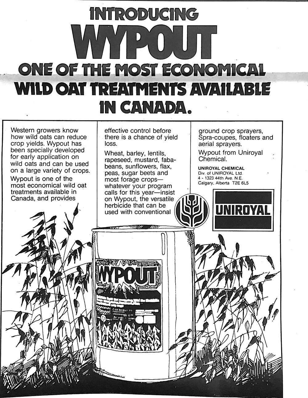 &#8216;Wypout&#8217; your wild oats