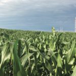 “I’ve been told corn prices ‘have reached a new plateau’ five different times and I’m still waiting for that plateau.” – Eugene Glock.