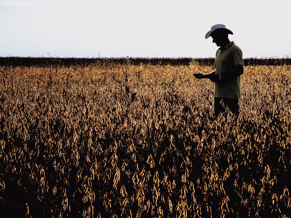 A farmer checks his soybean crop in the Brazilian state of Mato Grosso.