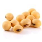 soybean on white background