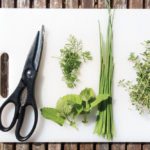Herbs add flavour and few, if any, calories to a meal.