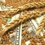 One critic of the latest U.S. Farm Bill says it creates more loopholes and gives more subsidies to people who have no business receiving them.
