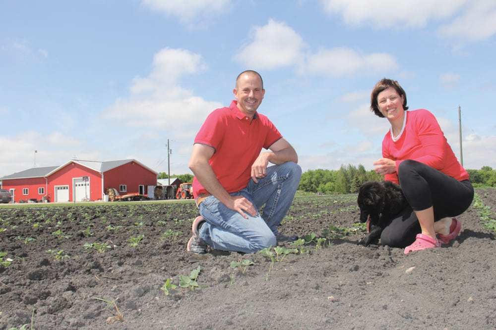 Darren and Angie Cormier, shown here May 31, operate Cormier's Berry Patch at La Salle.