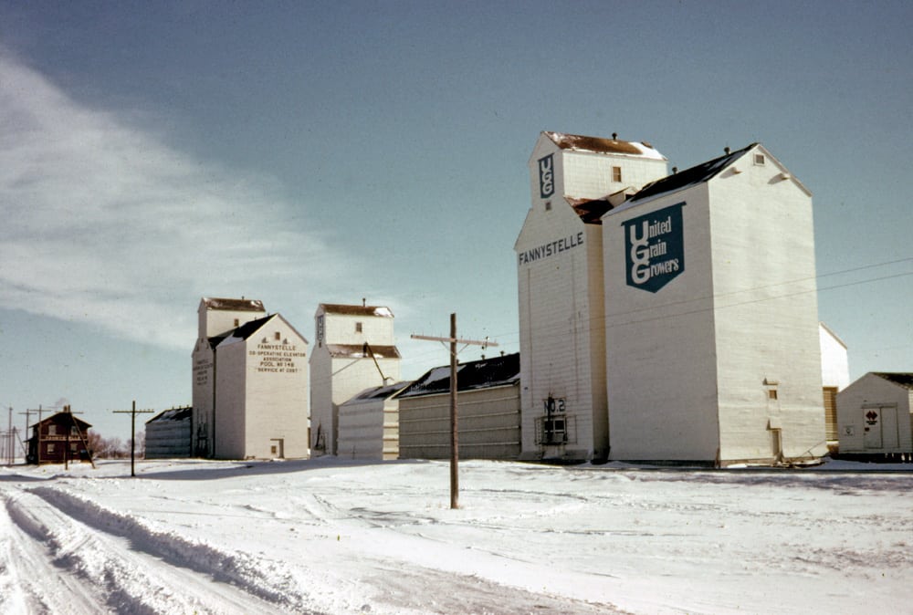 We see three elevators in this 1972 view of Fannystelle, all now gone. At left is Manitoba Pool with two annexes. Built in 1929, the balloon annex (left) dates from 1950 and a crib annex (right) was added in 1958. The smaller elevator in the middle was built in 1927 by Canadian Consolidated Grain, sold to UGG in 1959, closed in 1980, and removed in 1981. The small balloon annex (right) was built in 1949 and a crib annex (left) came in 1958. In 1970, the crib annex was moved beside the UGG elevator at right, which dates from 1940, built by Paterson Grain. Expanded in 1950 with a crib annex using materials salvaged from Dipple Siding, it was sold to UGG in 1968. UGG traded for the Pool in 1990 and closed both elevators that year when it opened a large concrete elevator nearby.