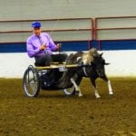 Rod Hart threads through the progressive cones course at the 2018 Manitoba Summer Fair horse show in Brandon June 6-10.
