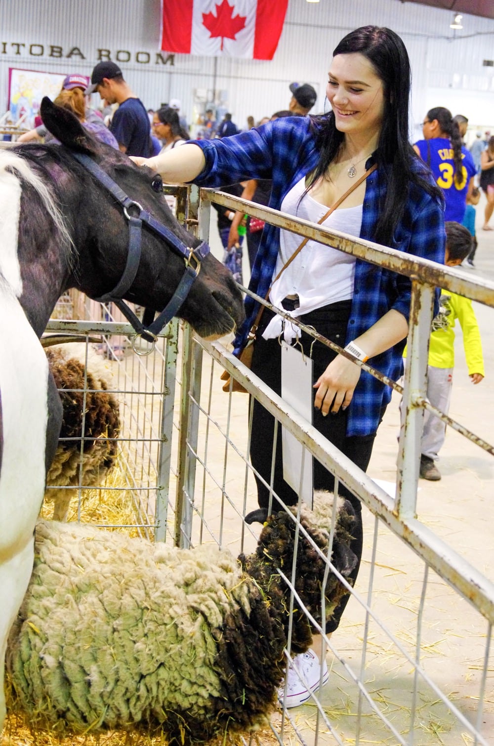 Amanda Earl gets in touch with one of the equines on display at the 2018 Manitoba Summer Fair petting zoo June 6-10 in Brandon.