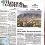 A new problem weed arrives in Manitoba fields