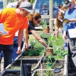 Farmers and industry try their luck identifying seedlings in the weed garden during the western weed seedling identification day in Brandon May 25.