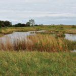 Weighing in on Manitoba's new Sustainable Watersheds Act.