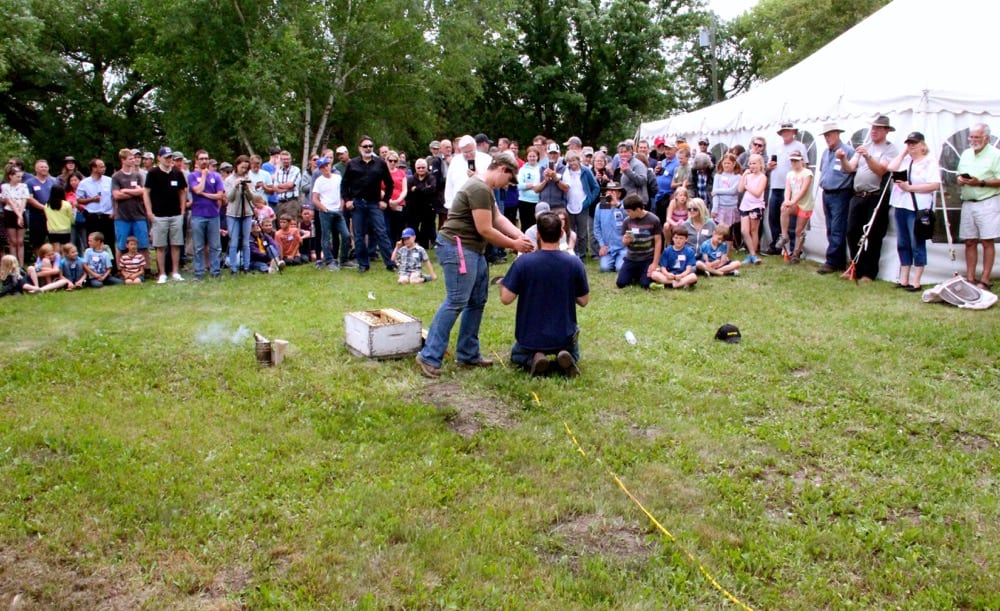 VIDEO: Bees “bee-have” to form bee beard