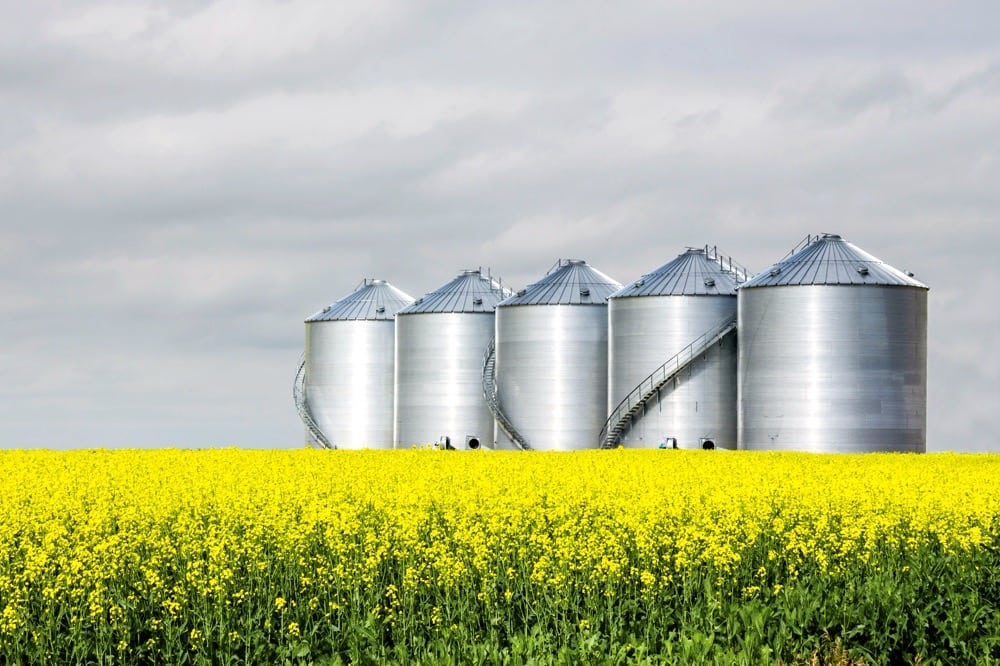 horizontal image of five round steel grain bins sitting in a yellow canola field under a very cloudy sky in the summer.