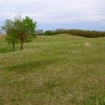 The changes will remove an advantage currently given to younger Manitoba producers who need access to Crown lands to build their herds.