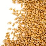 wheat