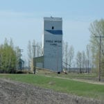 Drivers on Highway No. 16 east of Gladstone have probably noticed a grain elevator on a farm along the south side of the road. The 41,000-bushel house was built by Federal Grain in 1956 at Golden Stream, a station on the CNR Gladstone Subdivision about six miles to the southwest. It replaced an earlier elevator, dating from 1935, that was destroyed by fire on July 23, 1955 along with two annexes, an engine house, and 48,000 bushels of grain. Sold to Manitoba Pool in 1972 and closed, the elevator stood vacant for a time before being sold to private ownership and moved here.