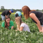 Kristen MacMillan, the University of Manitoba’s faculty of agricultural and food sciences’ agronomist in residence, talks to students in the field  about how a soybean plot trial is developing.