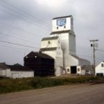 The first United Grain Growers elevator at McCreary, with a 30,000-bushel capacity, opened in 1917. Two balloon annexes were added to its east side, next to the driveway, around 1951 and its capacity rose to 85,000 bushels. Around 1961, one of the balloon annexes was moved to the south side and enlarged. In 1977, the old elevator was converted into an annex and a new elevator was built beside it. When this photo was taken in 1981, the original elevator and its single balloon annex were about to be demolished. Steel tanks on the south and north sides were added around 1995, increasing the total capacity to 141,000 bushels. Closed in 2001, the elevator was sold into private ownership. At the time of a 2017 visit, it appeared to be disused except by many pigeons.