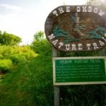 A expansive trail network through Minnedosa’s green space takes walkers past some of the towns main tourist and historical sites.