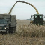 Custom silage harvest will run between $10 and $12 a tonne, and feeding requires some equipment changes, including a mixer wagon and a second tractor.