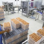 A man works at a machine that prepares chicken eggs for hatching at the Huayu hatchery in Handan, Hebei province, China, June 25, 2018.