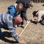 Ensuring legumes aren't seeded too deep is an absolutely critical step in establishing a high-legume pasture.