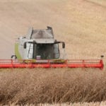 Straight-cutting canola growers urged to be patient on desiccant spray
