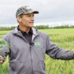 Manitoba Agriculture’s Rejean Picard says half of a crop rotation should still be cereals.